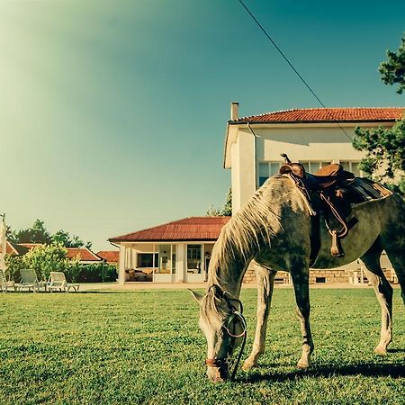 Guest House Ongal كروشونا المظهر الخارجي الصورة