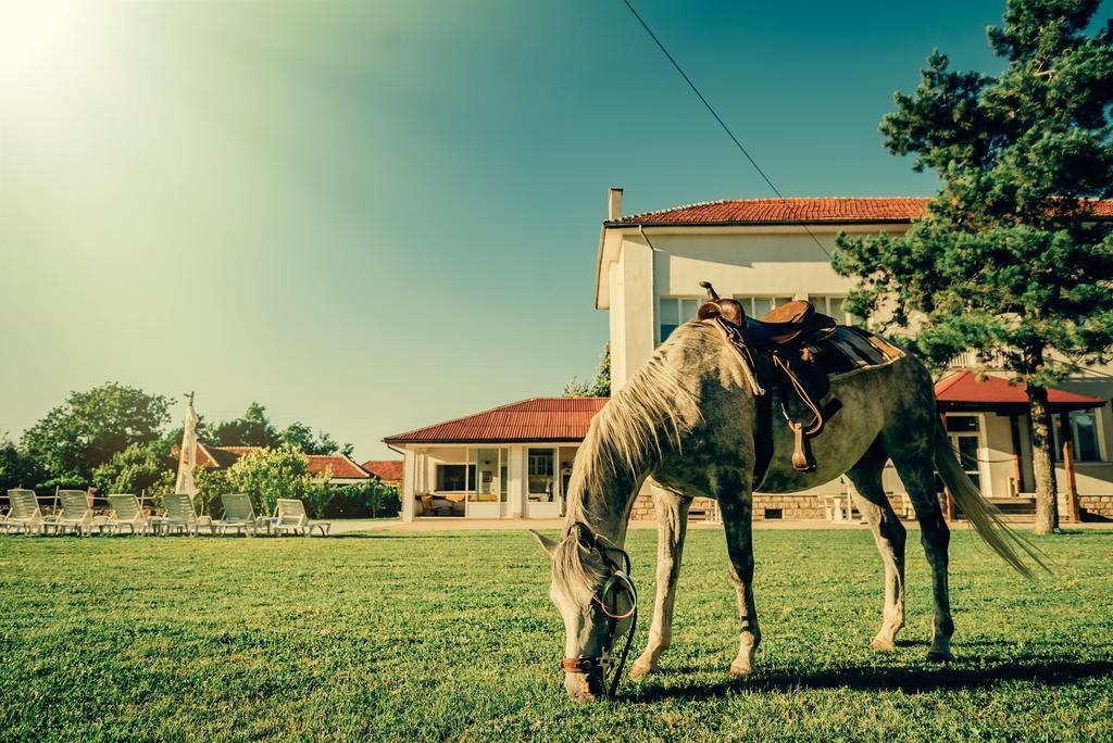 Guest House Ongal كروشونا المظهر الخارجي الصورة