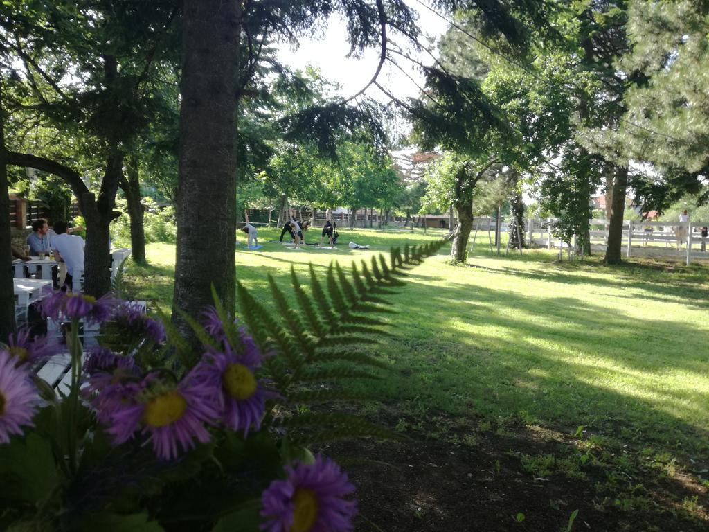 Guest House Ongal كروشونا المظهر الخارجي الصورة